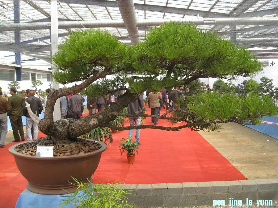 Ƭ 068.jpg