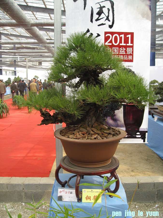 Ƭ 069.jpg