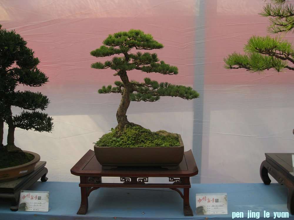 Ƭ 070.jpg