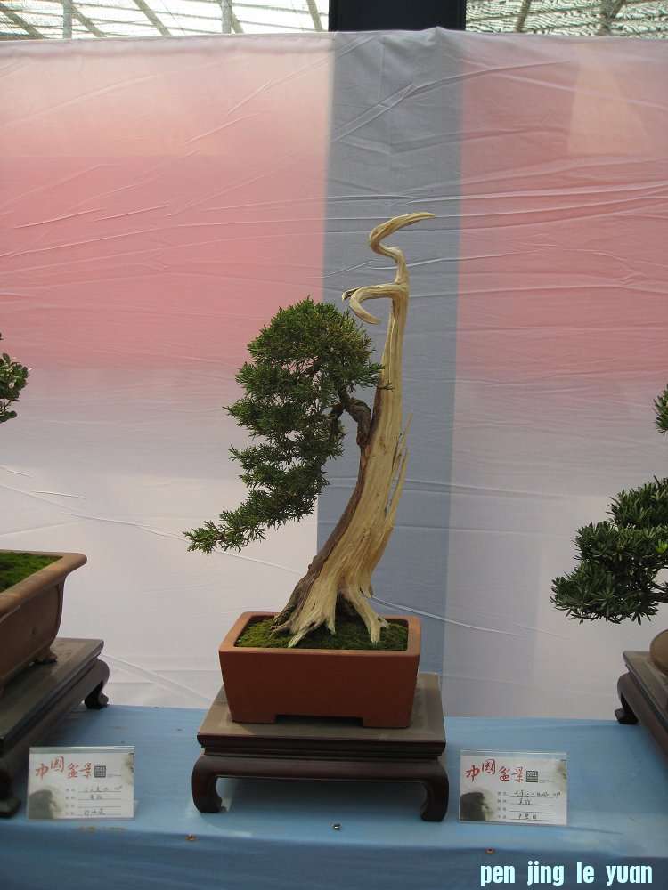 Ƭ 074.jpg