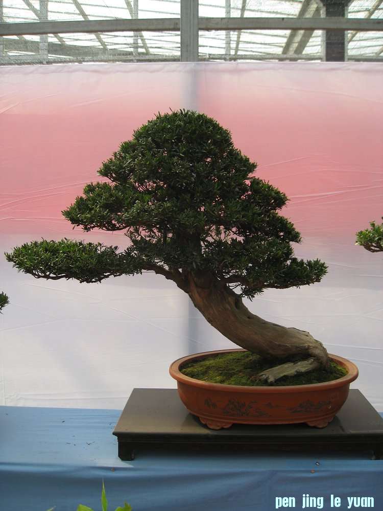 Ƭ 077.jpg