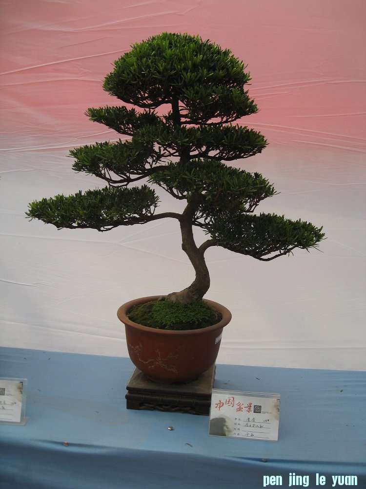 Ƭ 079.jpg