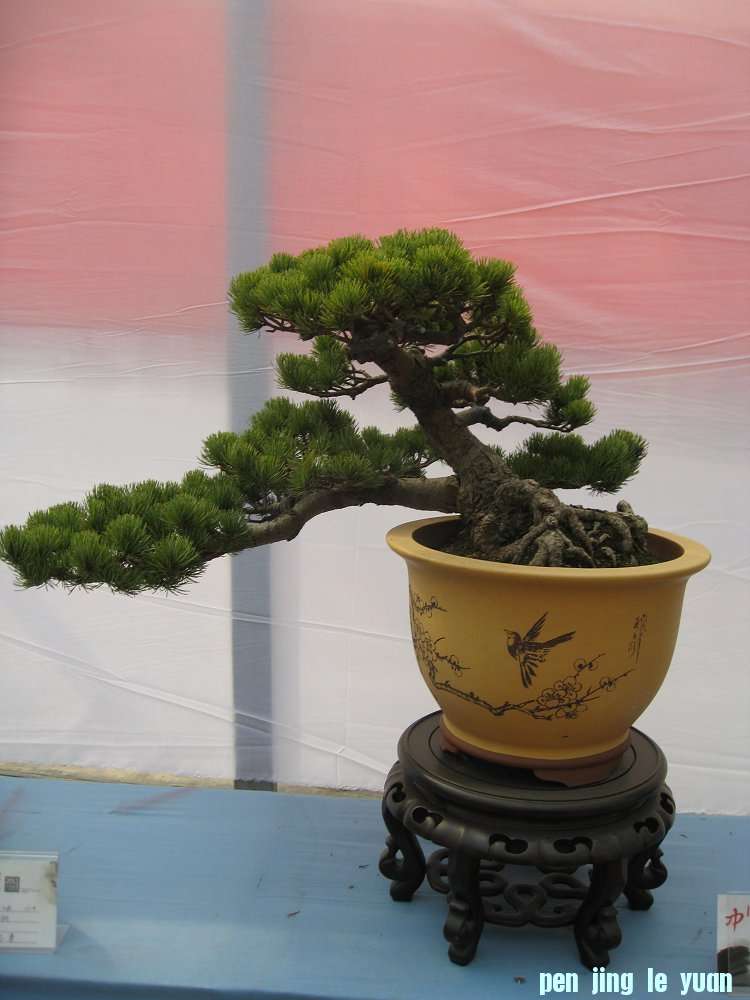 Ƭ 080.jpg