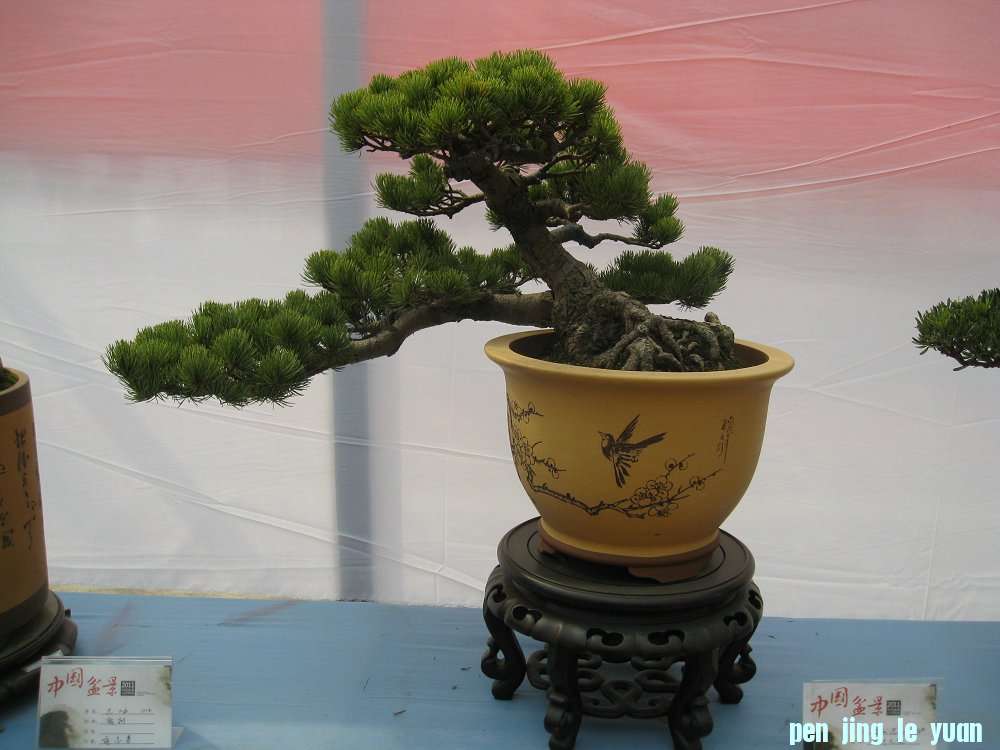 Ƭ 081.jpg
