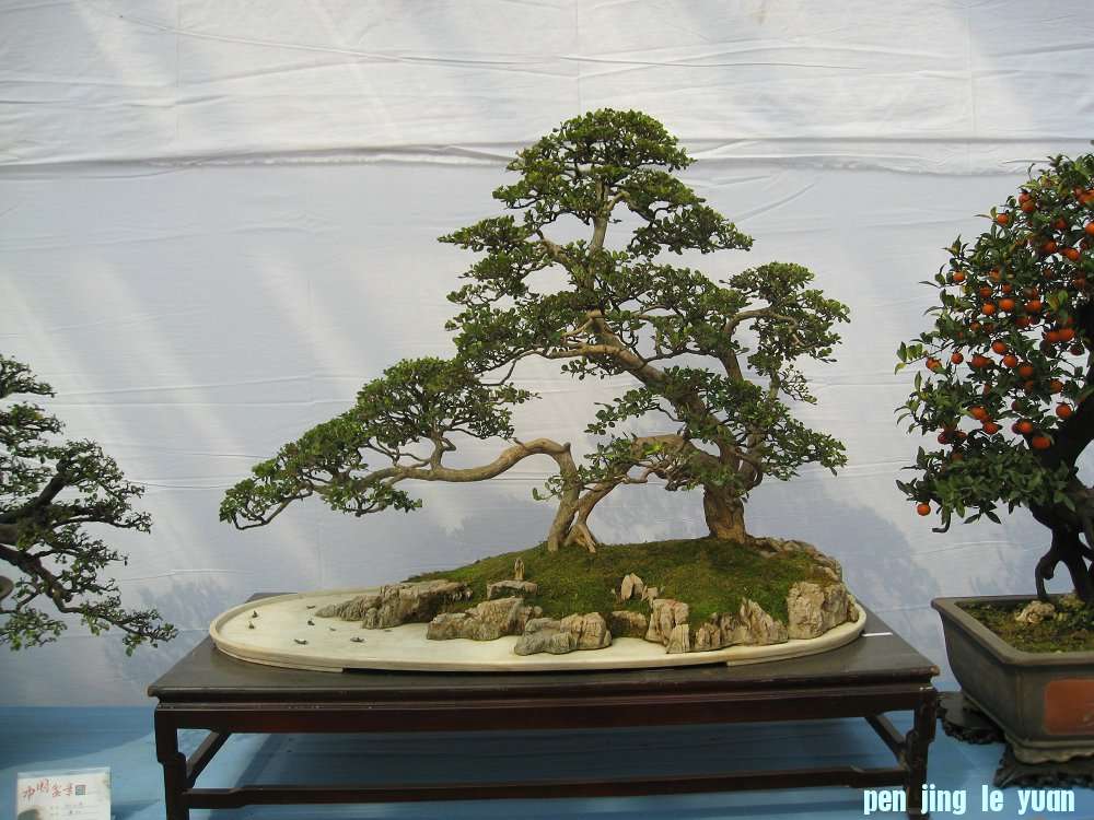 Ƭ 084.jpg