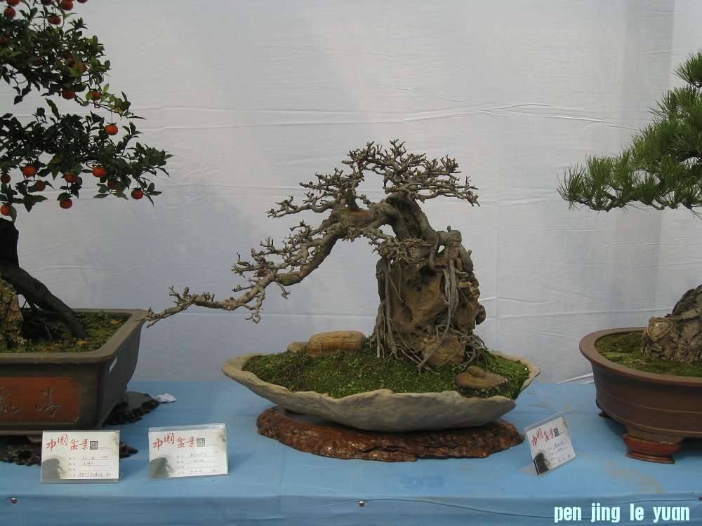 Ƭ 086.jpg