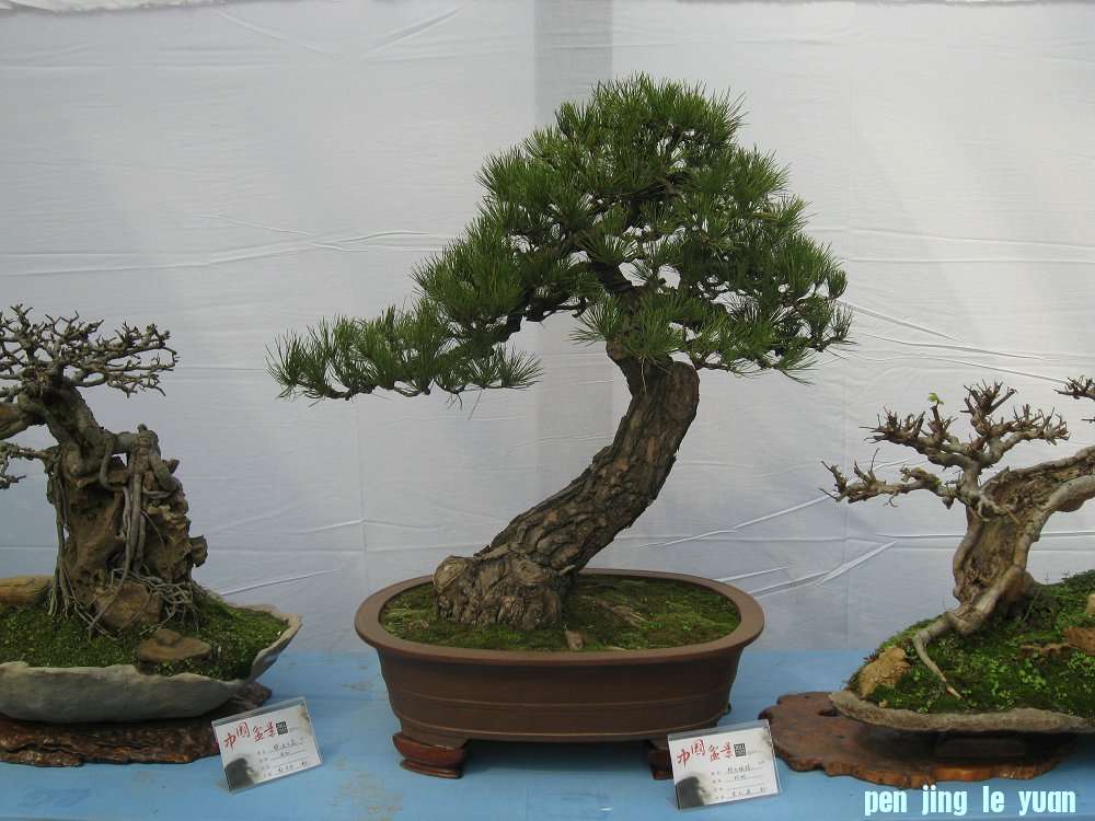 Ƭ 087.jpg