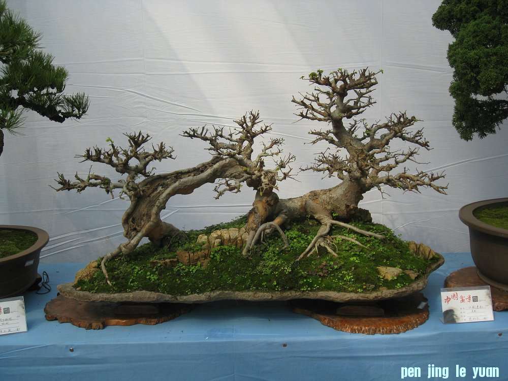 Ƭ 088.jpg
