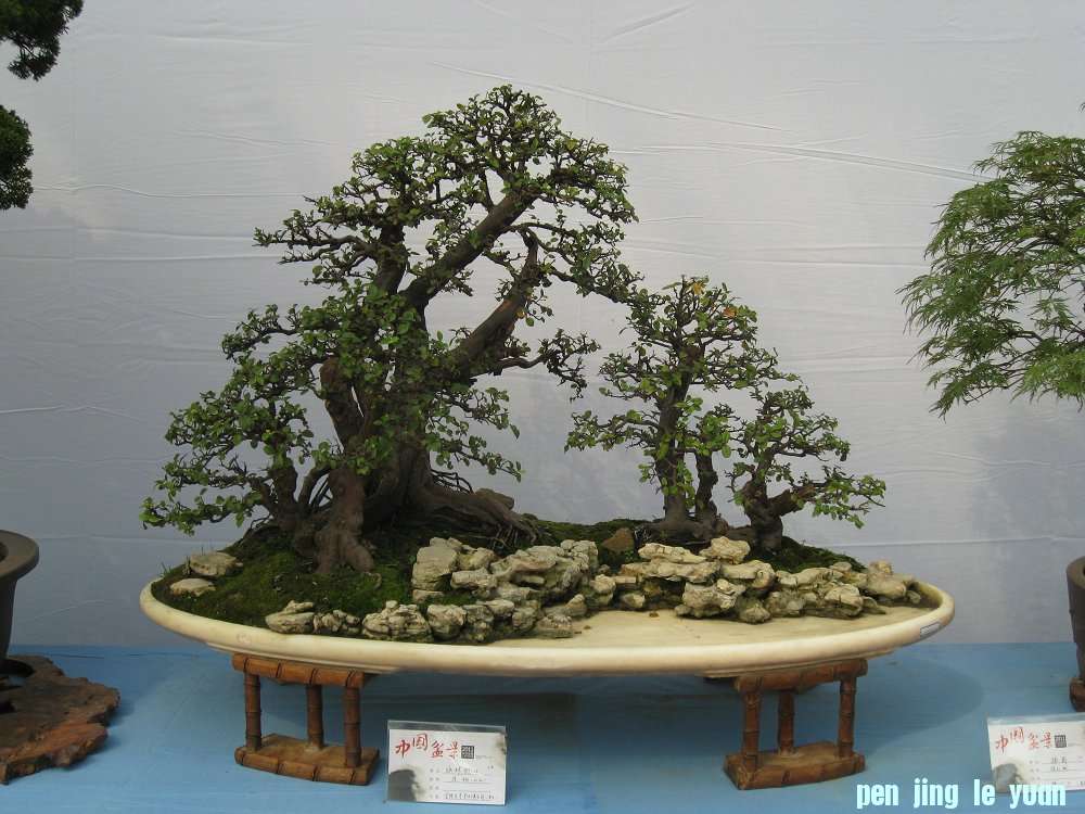 Ƭ 090.jpg