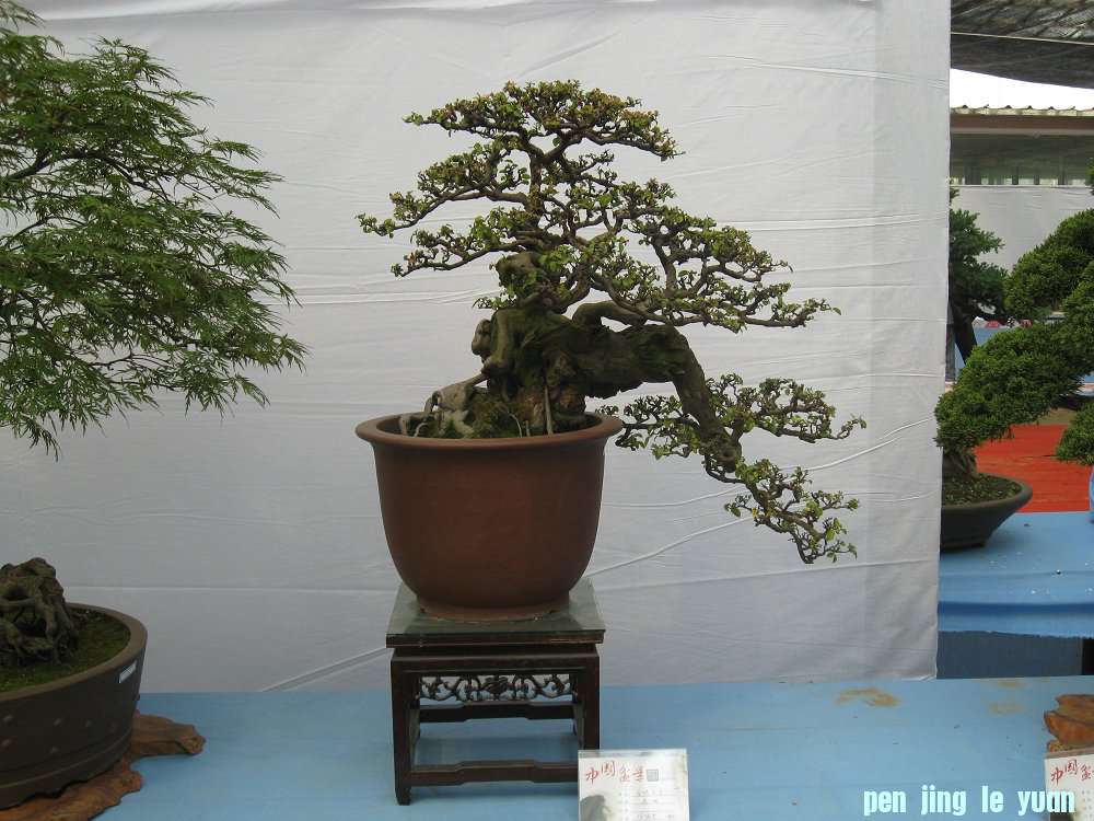 Ƭ 092.jpg