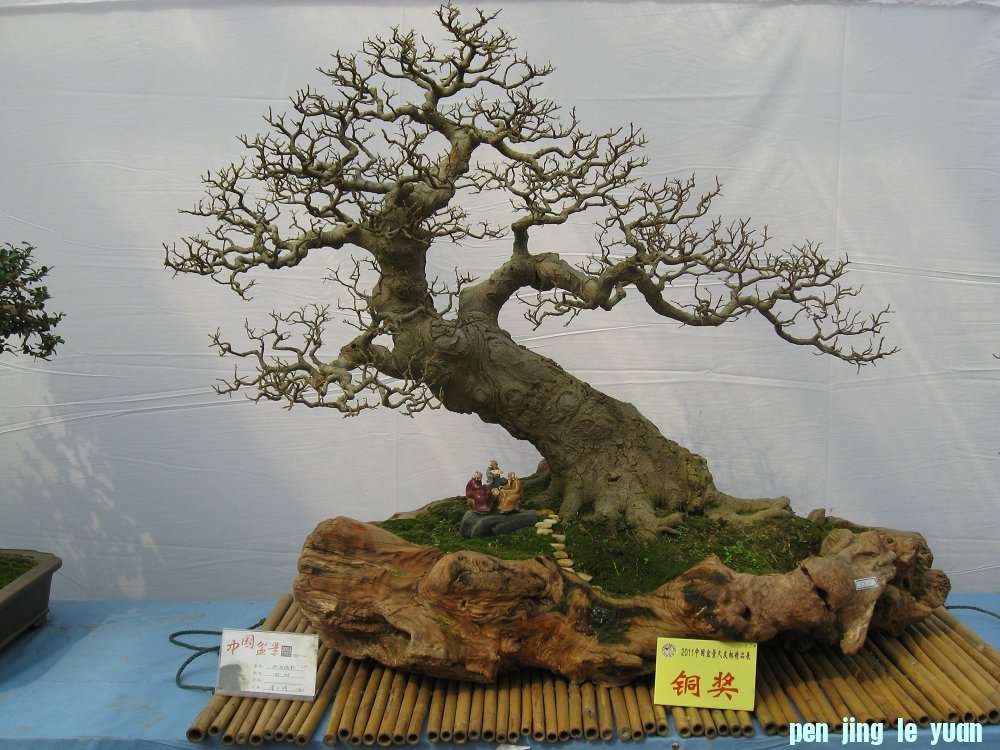 Ƭ 096.jpg