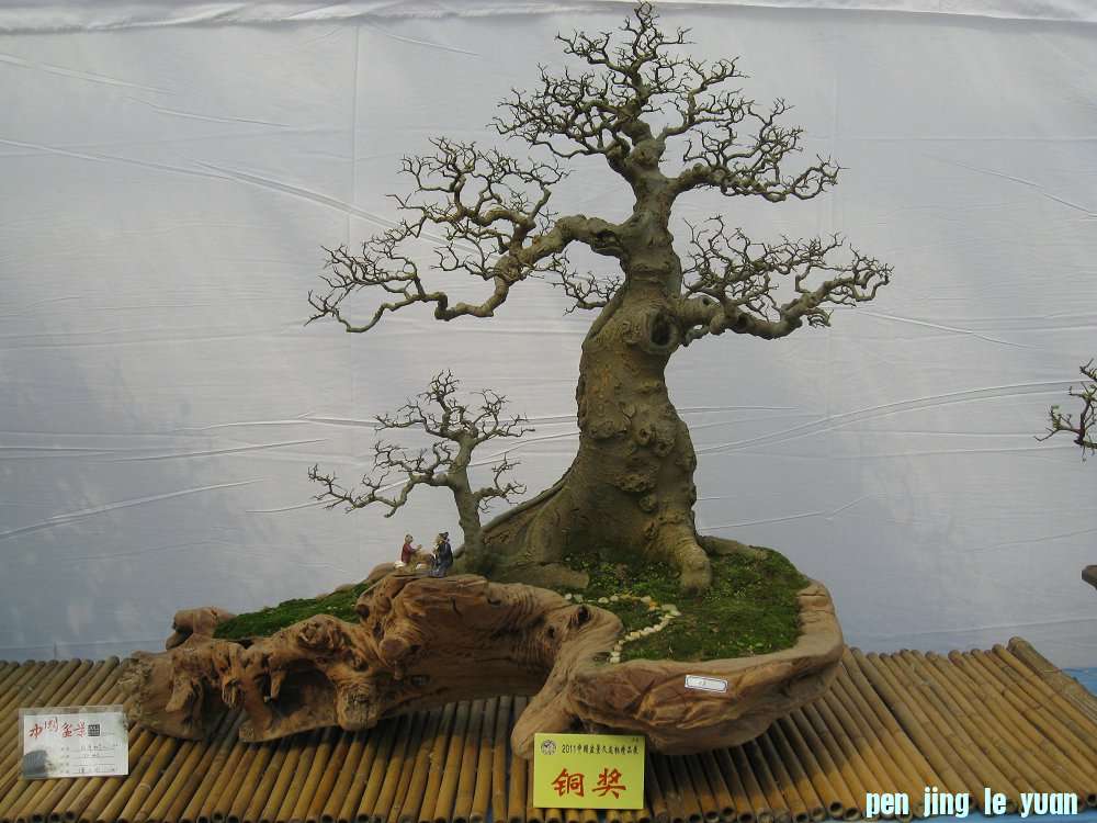 Ƭ 099.jpg
