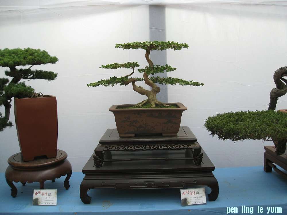 Ƭ 119.jpg