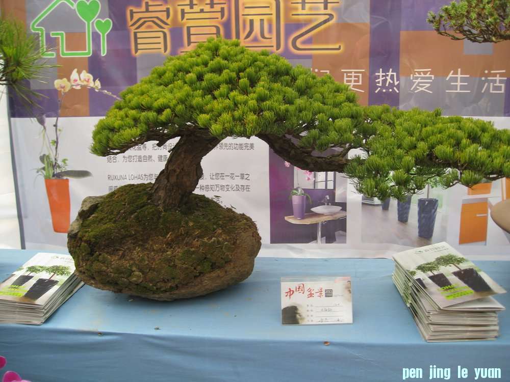 Ƭ 134.jpg