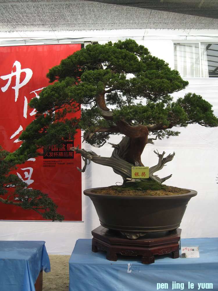 Ƭ 170.jpg