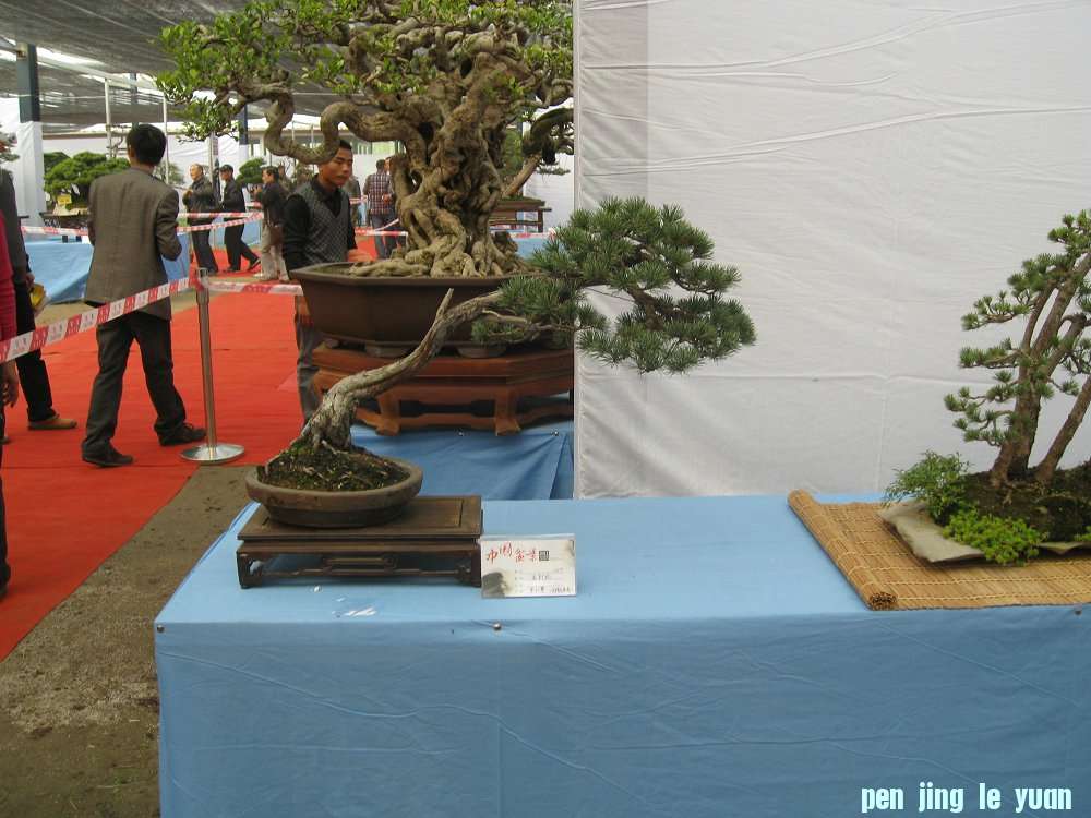 Ƭ 206.jpg