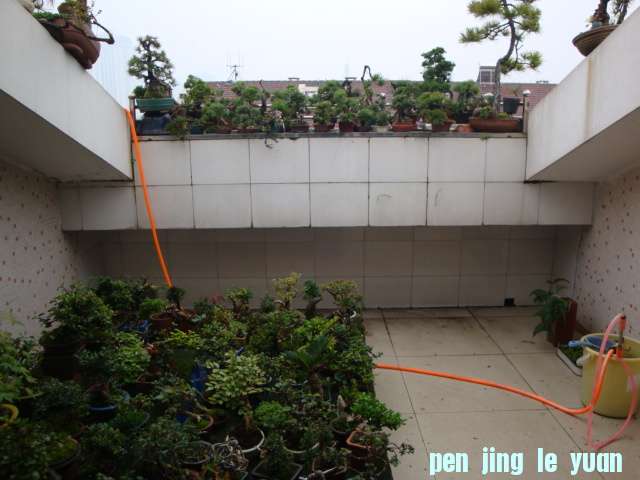 DSC06641.JPG