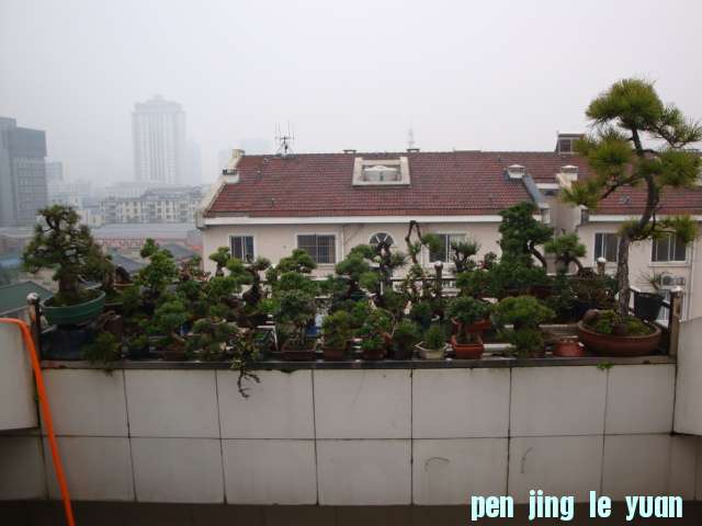 DSC06642.JPG