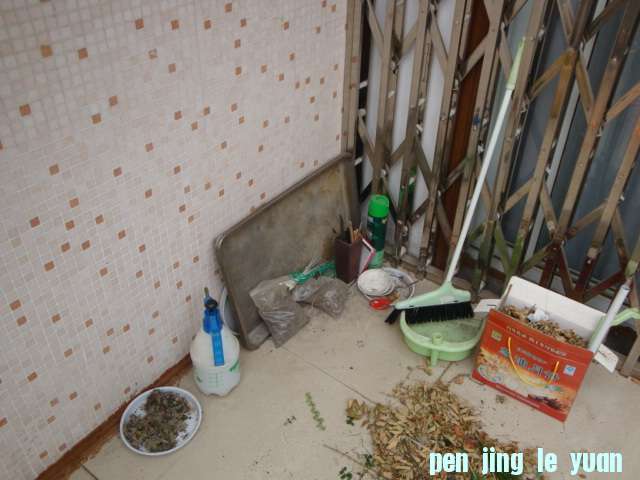 DSC06649.JPG
