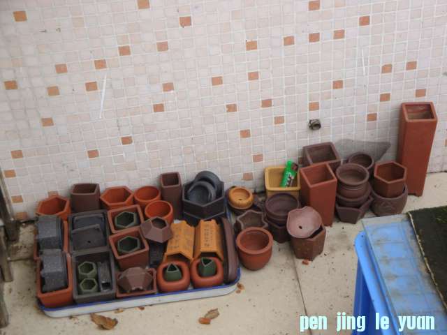 DSC06650.JPG