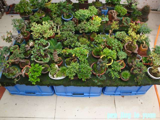 DSC06652.JPG