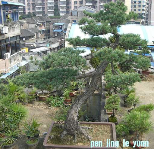 Ʒ4.JPG