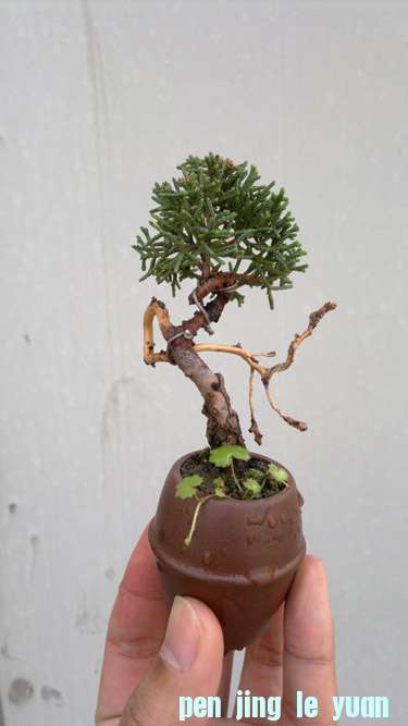 20111030413.jpg