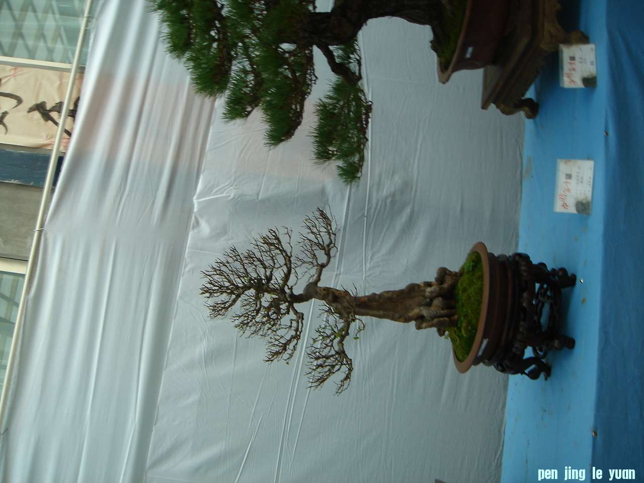 DSC03723.JPG
