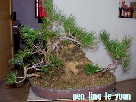 DSCF0634.JPG