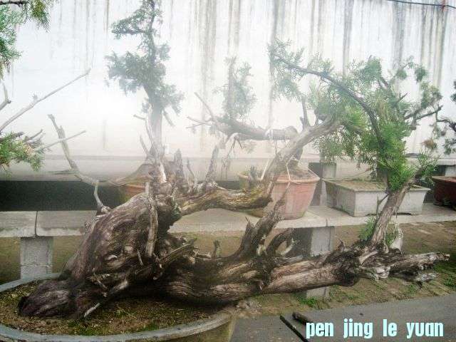 83.jpg