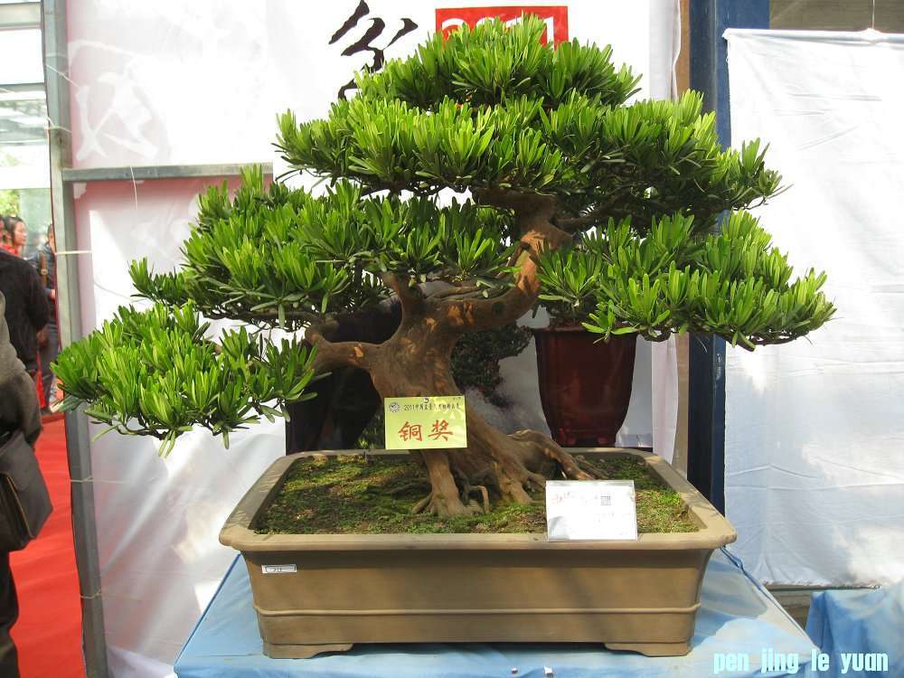 Ƭ 010.jpg