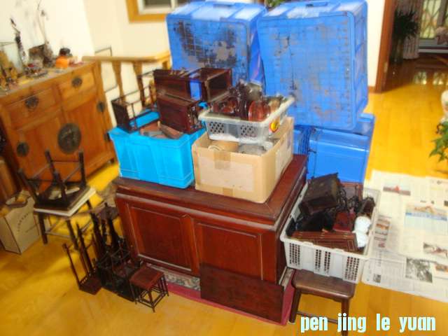 DSC06727.JPG