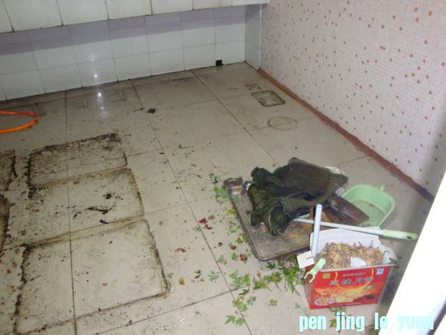 DSC06728.JPG