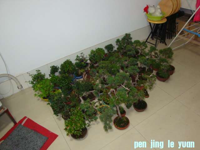 DSC06730.JPG