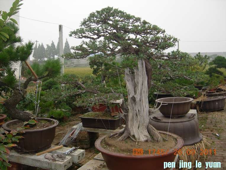 DSCN4398.JPG