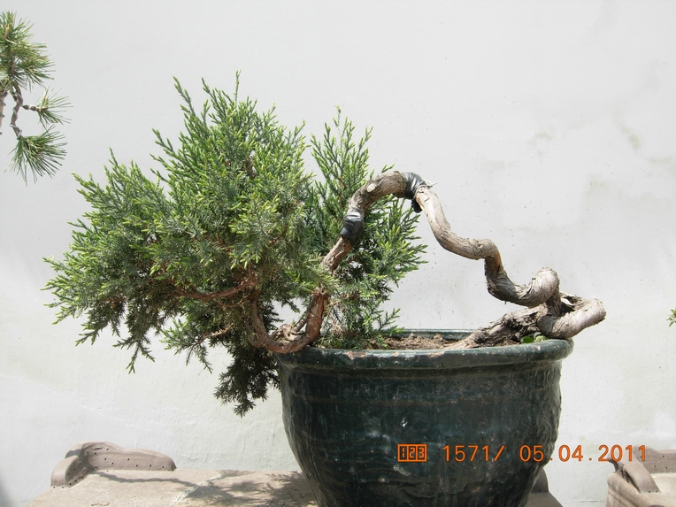DSCN3569.JPG