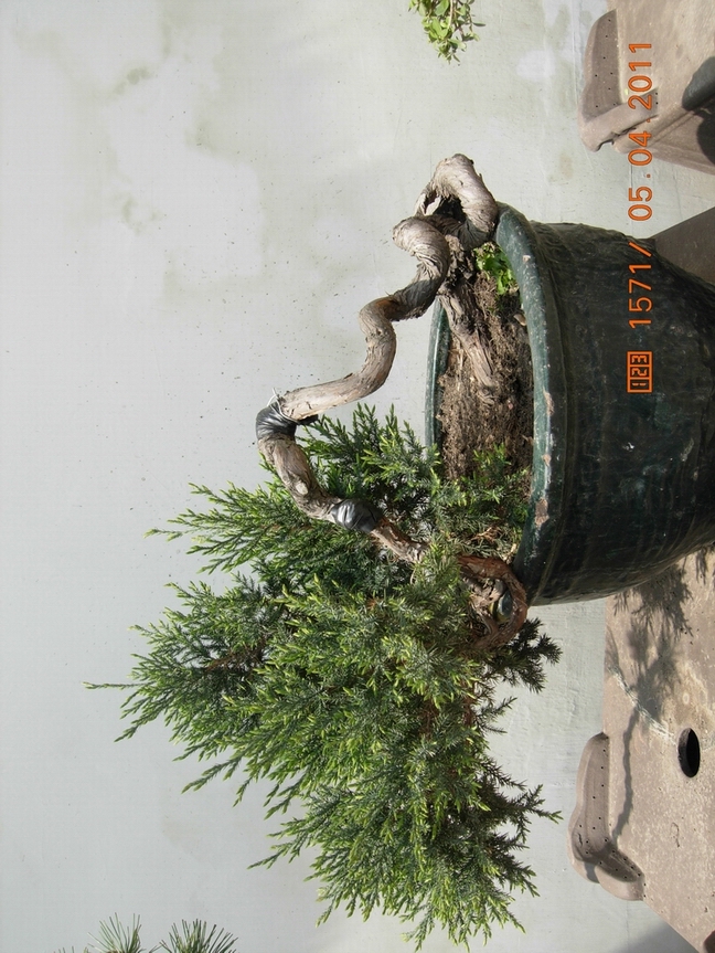 DSCN3568.JPG
