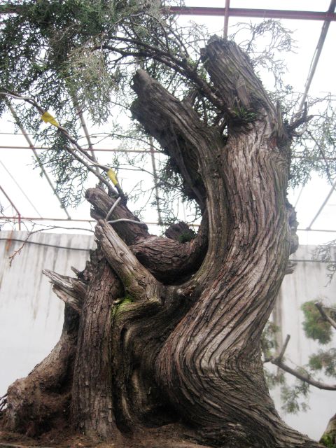85.jpg