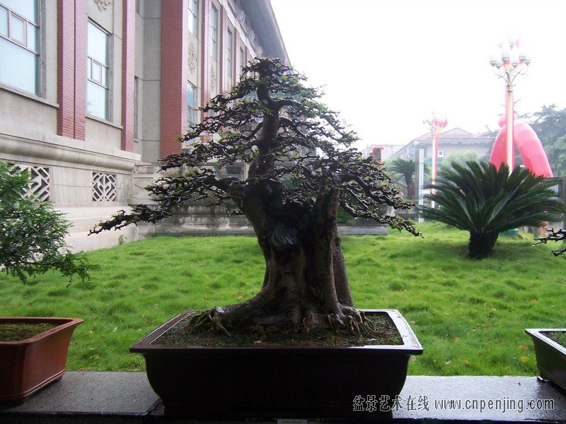 1424329ooo99323xvkavgx[1].jpg
