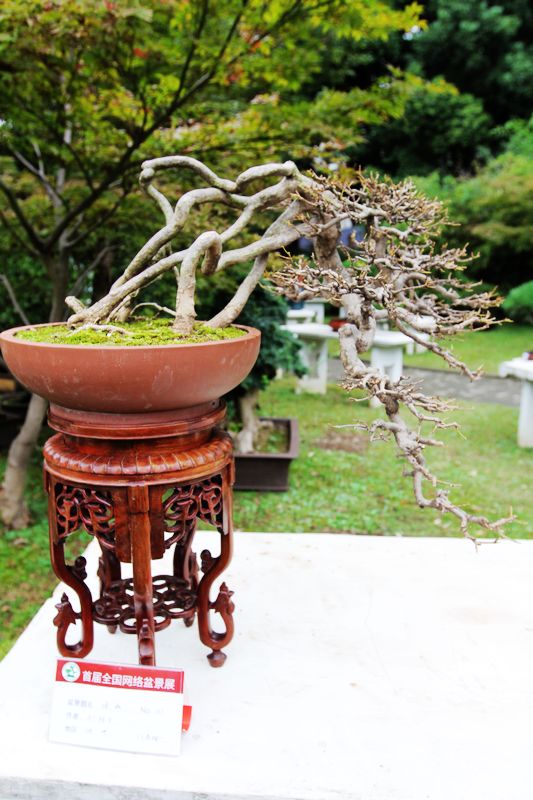 20111028_286.jpg