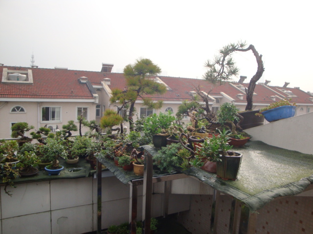 DSC06756.JPG
