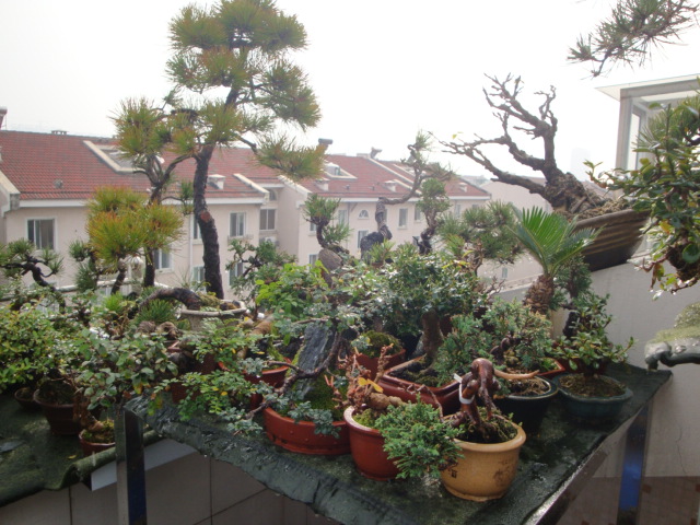 DSC06758.JPG