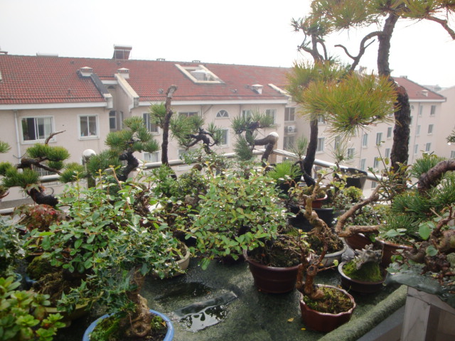 DSC06759.JPG