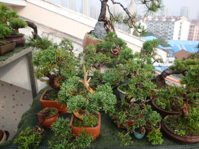 DSC06762.JPG