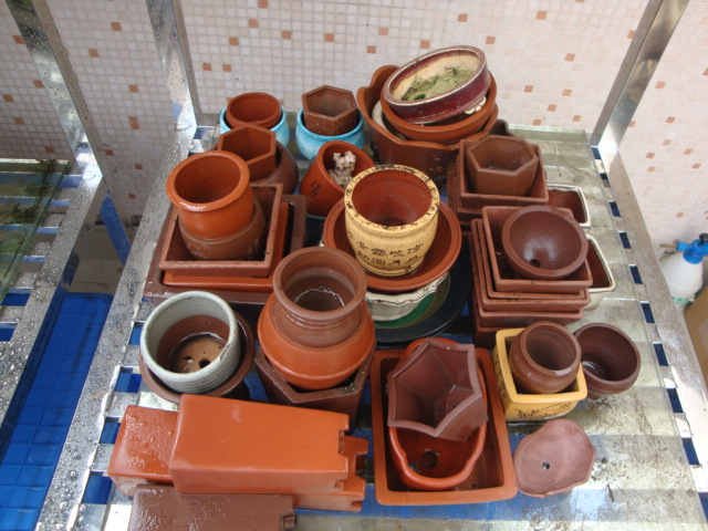 DSC06765.JPG
