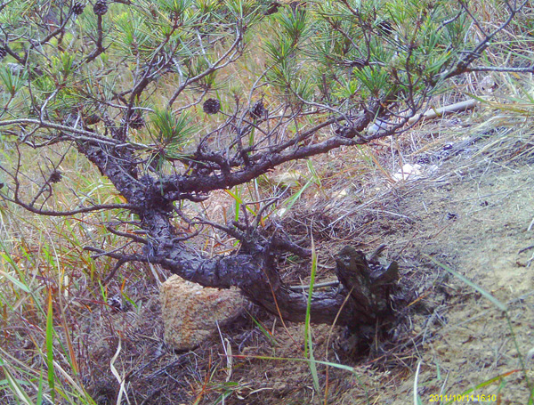 IMAG0040.JPG