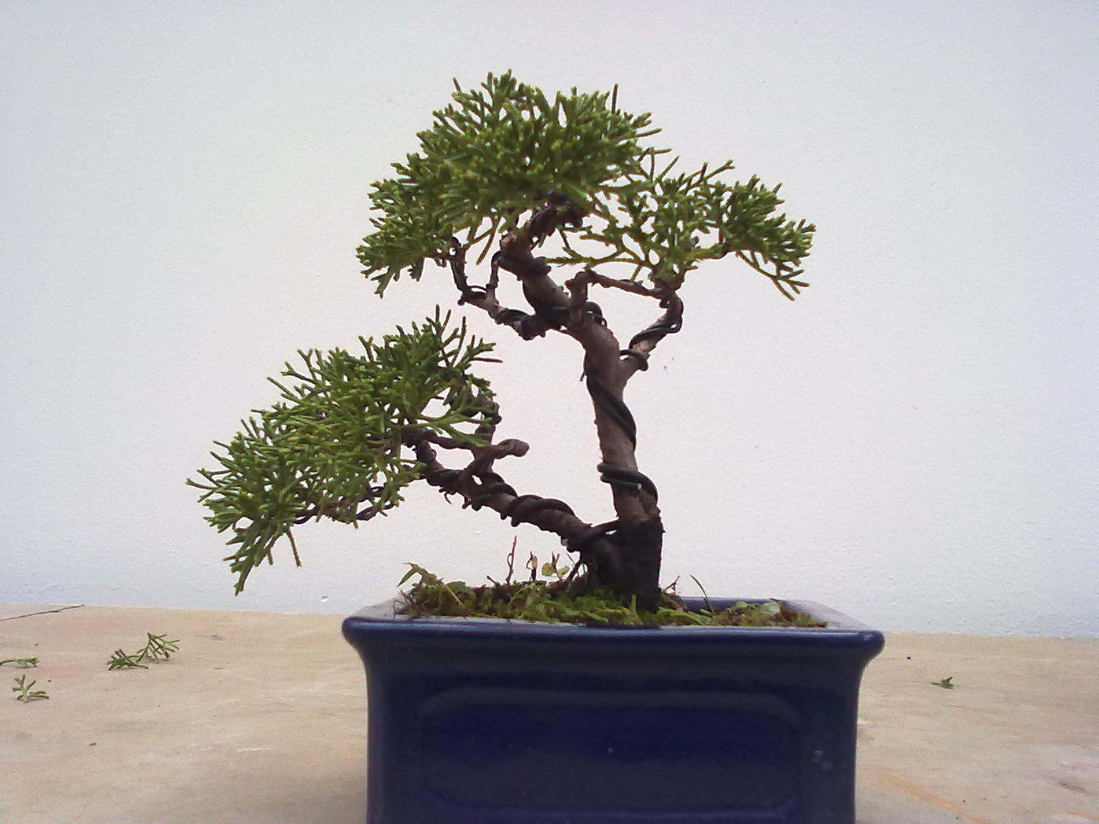 20111105953.jpg