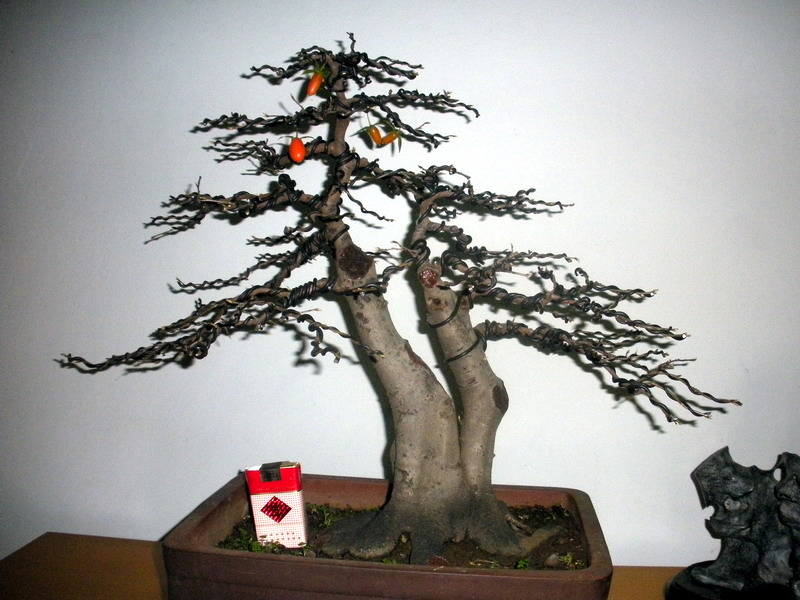 ѻa 042.jpg
