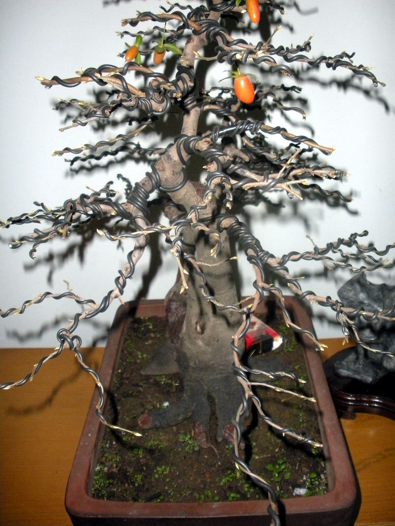ѻd 045.jpg