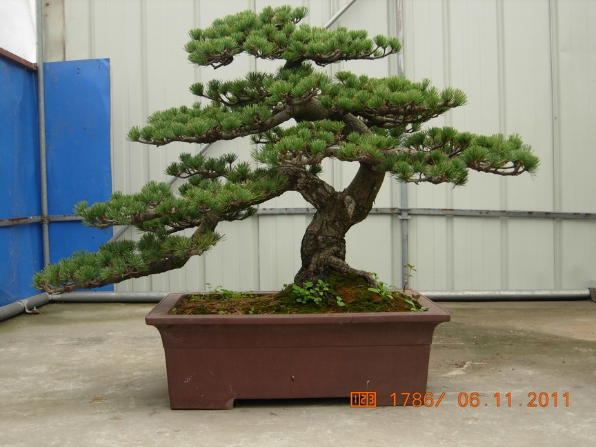 DSCN4508.JPG